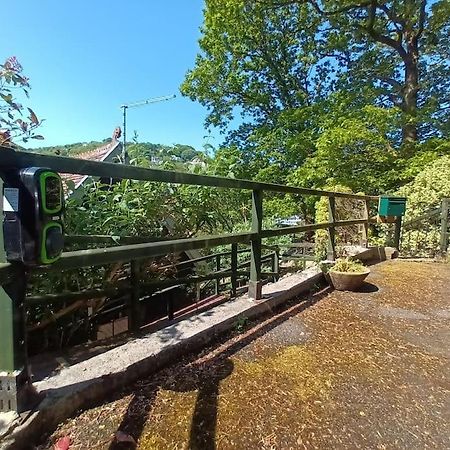 Treetop Cottage At Countisbury Lodge Lynmouth Exterior foto